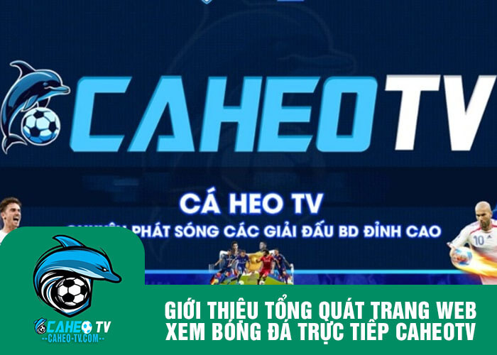 Giới thiệu tổng quát trang web xem bóng đá trực tiếp Caheotv